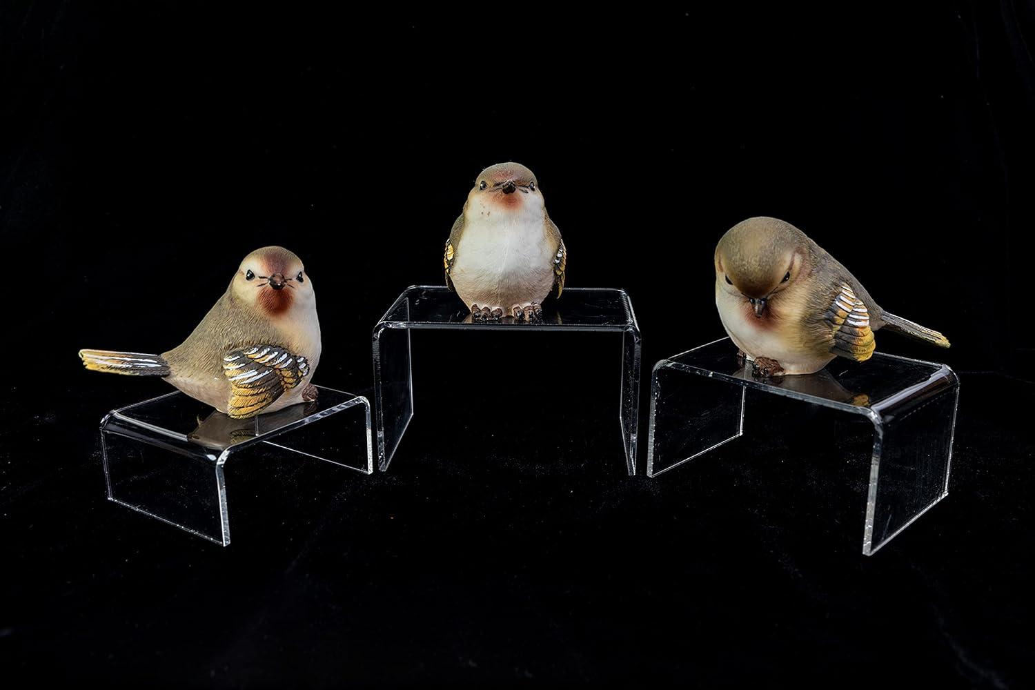 image6 Piece Clear Acrylic Risers Clear Display Stand for Jewelry Food and Collectibles Action Figurine Shelf Display Clear Tiered Display Stand