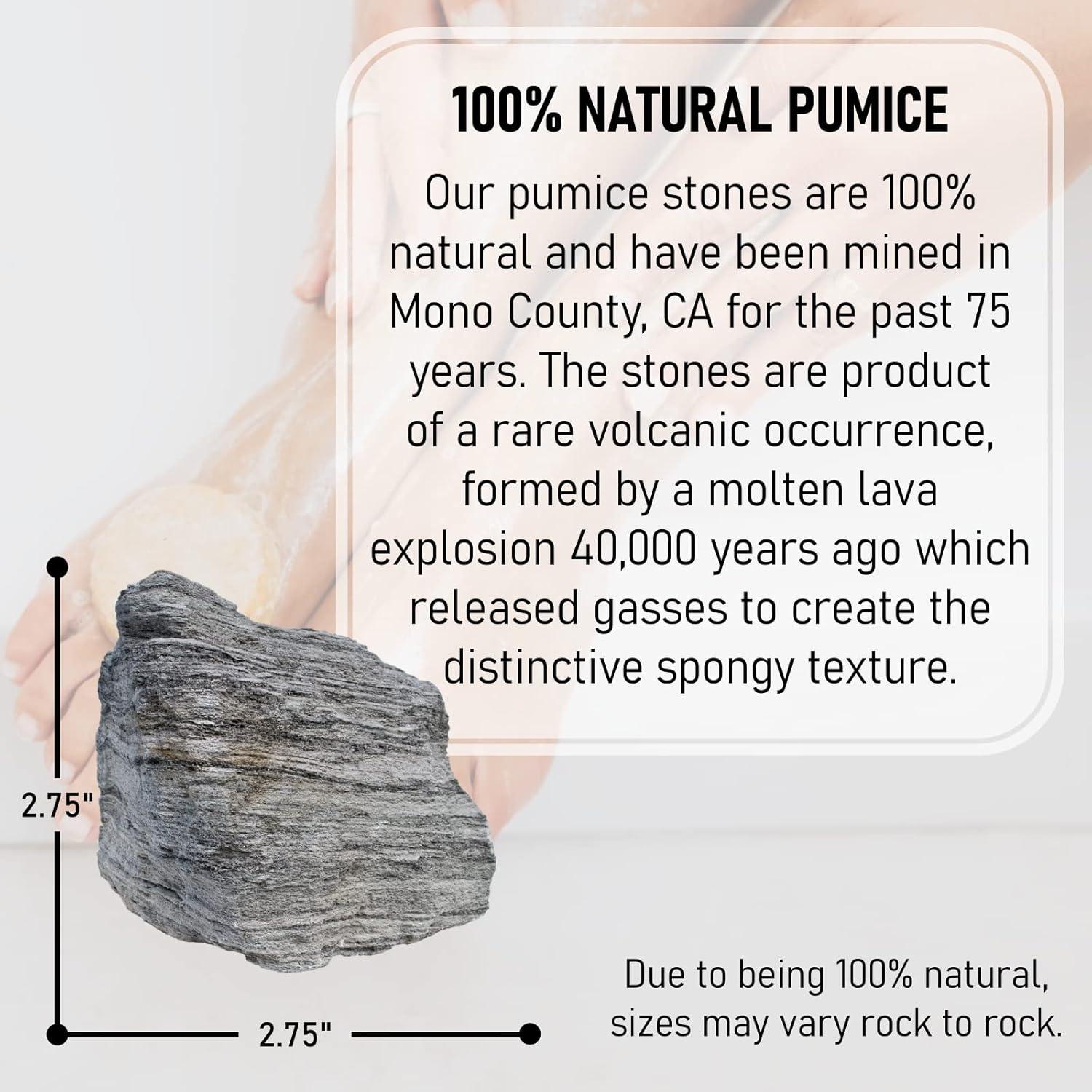 imagePedicure Exfoliation Kit All Natural Volcanic Pumice Stones by BillyBuckSkin Co 100 Made in USA Callus Remover for Hands and Feet 100 Natural Combo Pack of 2 Stones and a Body Sponge