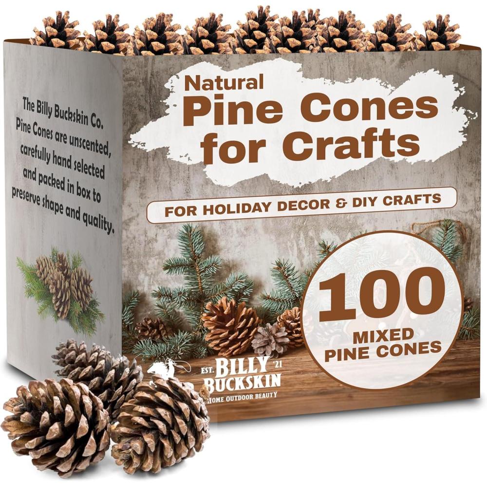 image20 Large Natural Pine Cones for Crafts 3quot to 4quot Tall Pine Cones Craft for Table Home Decor Vase Fillers Desk ampamp Christmas Trees Unscented Pinecones Crafts Ornament for Decorating by Billy Buckskin100 Mix Pinecones