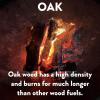 Billy Buckskin 18 LB Juniper Firewood Bundle – Aromatic & Seasoned Wood Logs with Fatwood Starter Sticks for Fire Pit, Campfire, Fireplace, Wood Stoves and Outdoor Grilling(Oak Firewood)