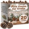 20 Large Natural Pine Cones for Crafts, 3″ to 4″ Tall Pine Cones Craft for Table, Home Decor, Vase Fillers, Desk & Christmas Trees, Unscented Pinecones Crafts Ornament for Decorating by Billy Buckskin(20 Large Pinecones)