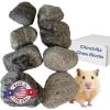 imageChinchilla Chew Toys Pumice Chew Blocks Lava Block for Hamster Rat Mice Degus Gerbils Small Animal Toys Guinea Pigs Rabbit Toy Bunny Toy by Billy Buckskin Pack of 6Mined in USA1 Count Pack of 8